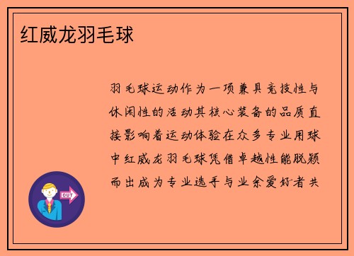 红威龙羽毛球