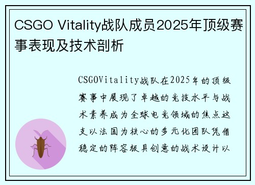 CSGO Vitality战队成员2025年顶级赛事表现及技术剖析