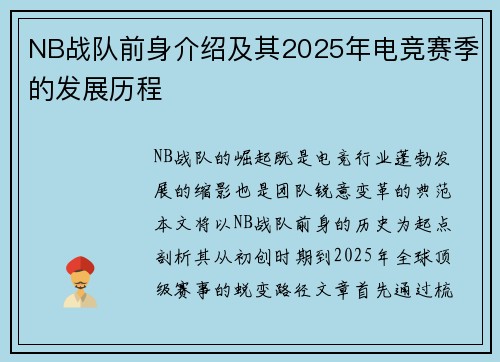 NB战队前身介绍及其2025年电竞赛季的发展历程