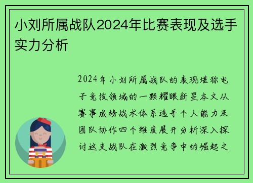 小刘所属战队2024年比赛表现及选手实力分析