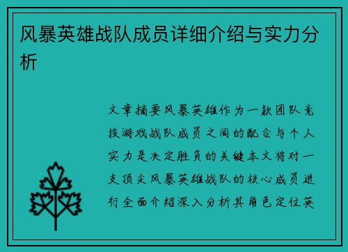 风暴英雄战队成员详细介绍与实力分析